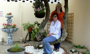 Bietoubossers plant vir n vale